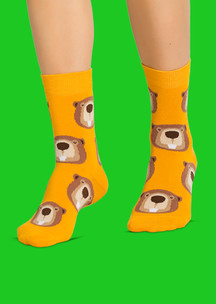 Цветные носки JNRB: Носки Бобры добры