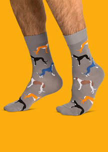 Цветные носки JNRB: Носки Борзые щенки