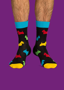 Цветные носки JNRB: Носки Двойной скотч-терьер