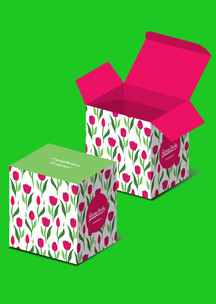 Funny Socks: Коробка для 4-х пар Тюльпаны