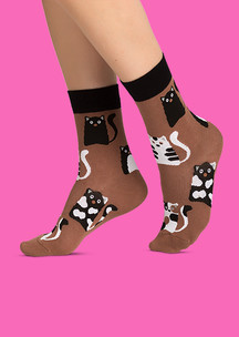 Цветные носки JNRB: Носки Кофейные коты