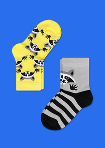Цветные носки для всей семьи Енот JNRB: Носки детские (2 пары) Енотики