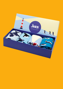 Цветные носки для всей семьи Маяк JNRB: Набор Круизный