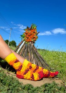 Цветные носки JNRB: Носки Костры рябин