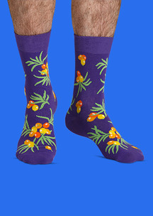 Цветные носки JNRB: Носки Урожайные