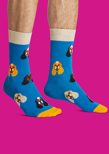 Цветные носки JNRB: Носки Коккер спаниель