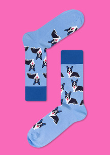 Цветные носки JNRB: Носки Корги Елизаветы II