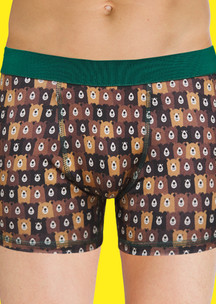 Коричневые JNRB: Трусы боксеры Таёжный медведь