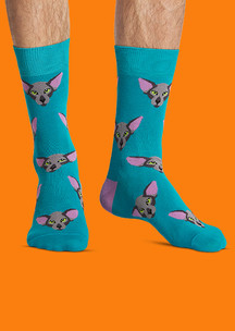Цветные носки JNRB: Носки Ориентальная кошка
