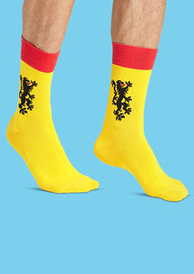 Цветные носки JNRB: Носки Геральдические
