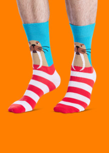 Цветные носки JNRB: Носки Моржовые
