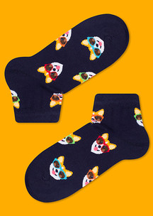 Цветные носки JNRB: Носки Корги летом