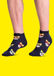 Цветные носки JNRB: Носки Корги летом