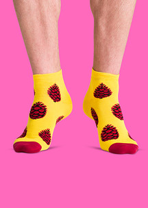 Цветные носки JNRB: Носки Кедровые шишки