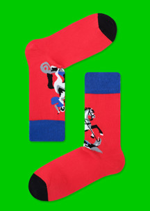 Цветные носки JNRB: Носки Гоша и Змей