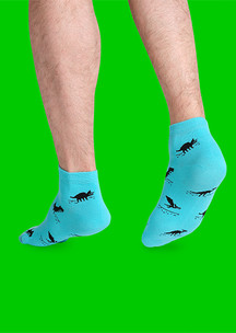 Цветные носки JNRB: Носки Цифровые дины