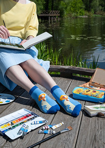 Цветные носки JNRB: Носки Ван Гог