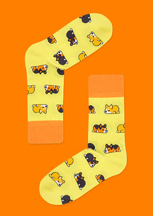 Няшные (кавайные) JNRB: Носки Lazy Corgi