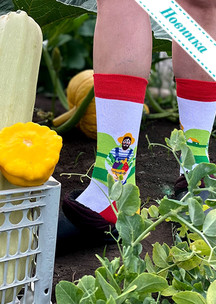 Цветные носки JNRB: Носки Урожай
