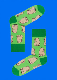 Про лето JNRB: Носки Капибара