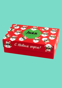Цветные носки JNRB: Набор Дед Кул