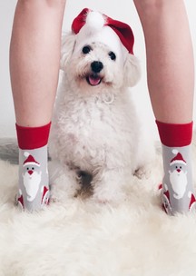 Цветные носки JNRB: Носки Дед Мороз - красный нос