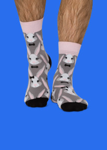 Цветные носки JNRB: Носки Чаепитие у кролика